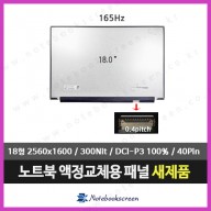 노트북액정수리 DELL 에일리언웨어 M18 (2560x1600해상도업) 165Hz패널