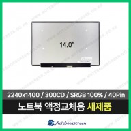 노트북액정수리 Lenovo Thinkpad X1 Carbon 10th Gen10 (21CB001XKR) (2240x1400)